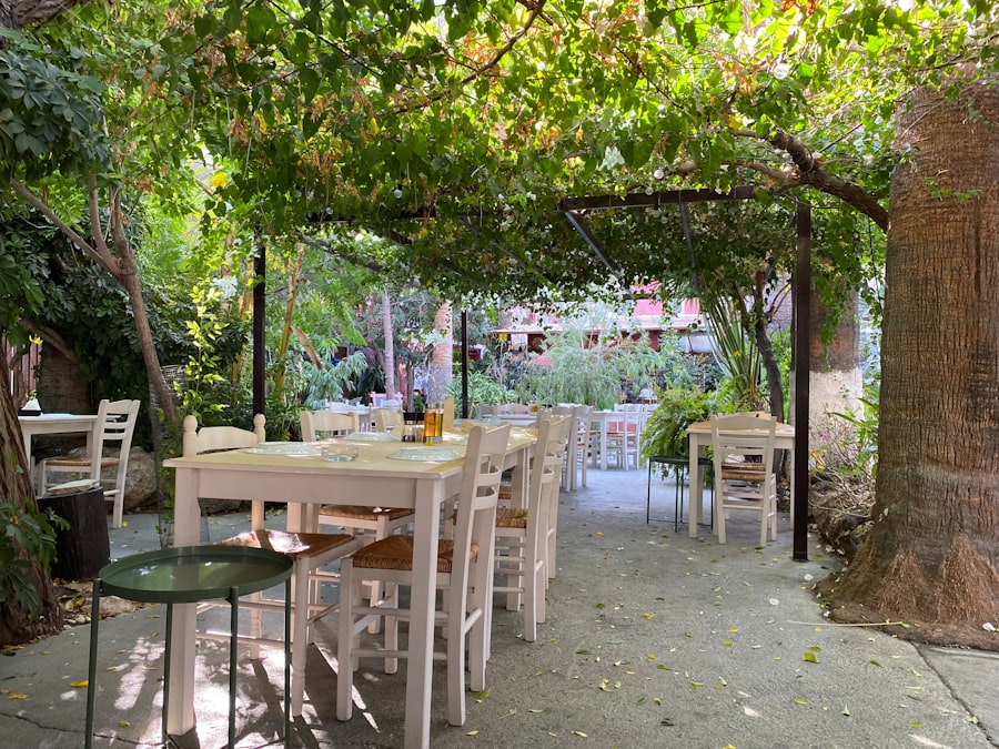 La terrasse ombragée